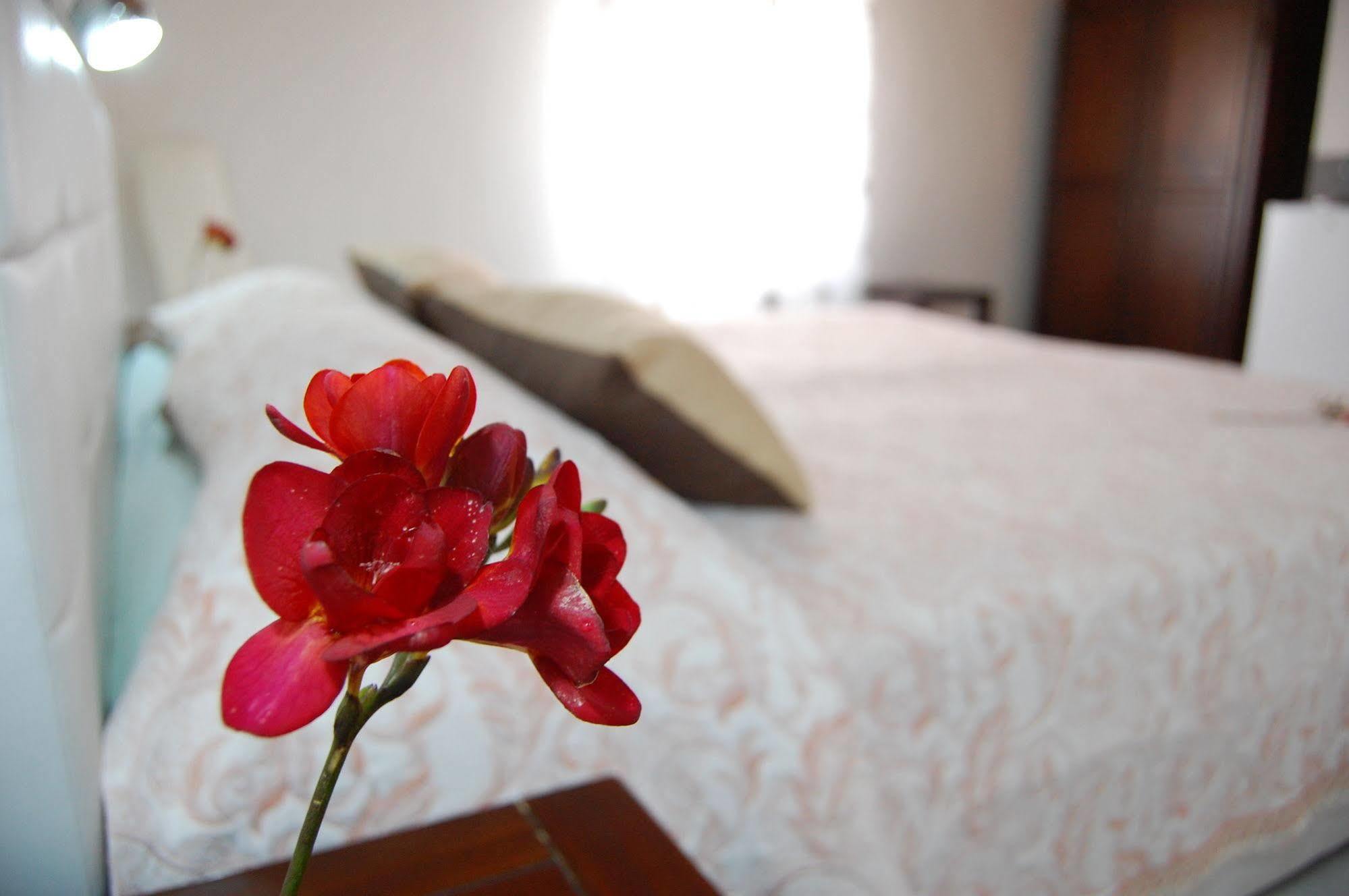 Il Mirto E La Rosa Bed & Breakfast Arenella  Exterior photo